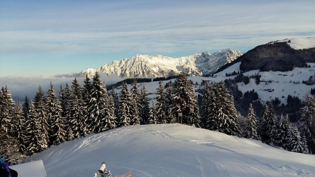 Apartments Scheffau Scheffau am Wilden Kaiser Eksteriør bilde